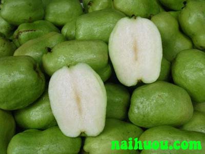 Hướng dẫn kỹ thuật trồng ổi không hạt Hướng dẫn kỹ thuật trồng ổi không hạt